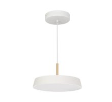 Подвесной светильник Arlight SP-Elegant-R300-17W Day4000 033919