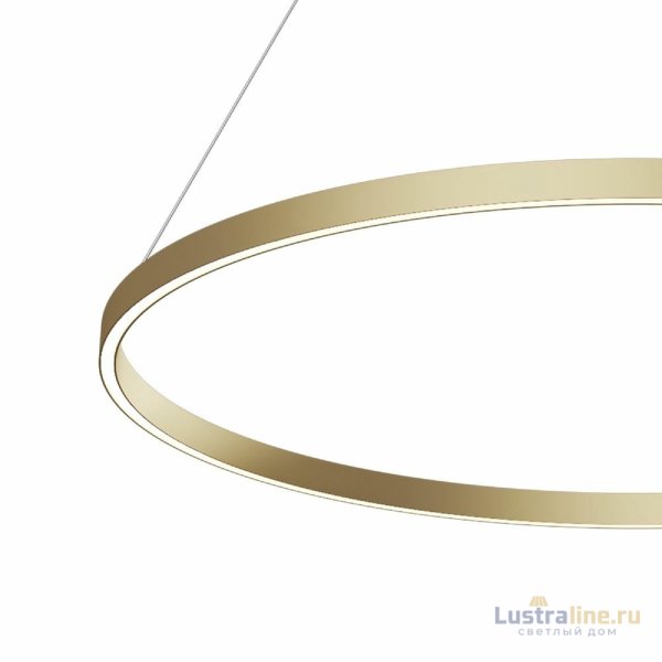 Подвесной светильник Maytoni Rim MOD058PL-L54BSK