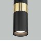 Подвесной светильник Eurosvet Viero 50096/1 черный/золото