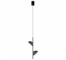 Подвесной светильник Loft IT Mons 10335 Black