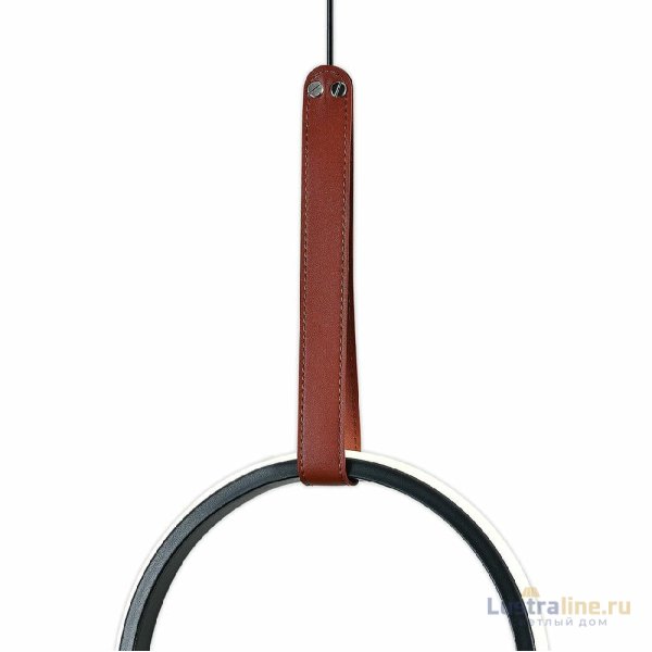 Подвесной светильник Escada Alliance 10295/1LED Black