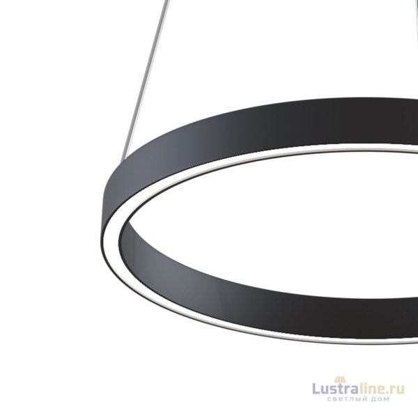Подвесной светильник Maytoni Rim MOD058PL-L22BK