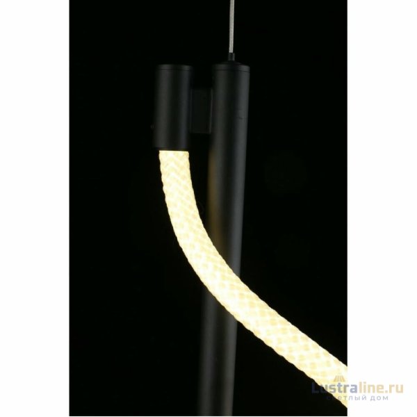 Подвесной светильник Aployt Luki APL.065.06.12