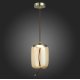 Подвесной светильник ST Luce Ozzio SL6108.323.01