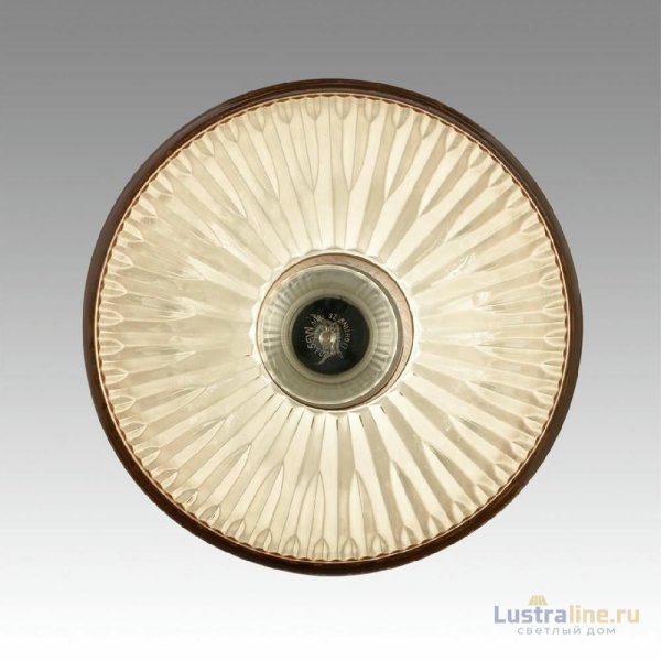 Подвесной светильник Lumion Suspentioni Natana 8054/1A Подвесной светильник Lumion Suspentioni Natana 8054/1A