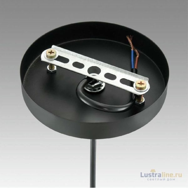 Подвесной светильник Lumion Suspentioni Leonela 8052/1A