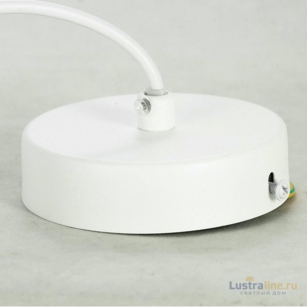 Подвесной светильник Lussole Loft LSP-8519