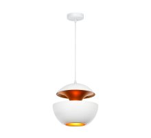Подвесной светильник Loft IT LOFT2213-A