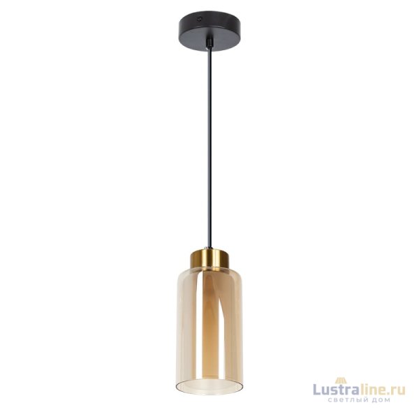 Подвесной светильник Arte Lamp Leo A7027SP-1BK