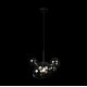 Подвесной светильник Loft IT Bolle 2029-P6 mini