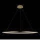 Подвесной светодиодный светильник Loft IT Ring 10014XXL