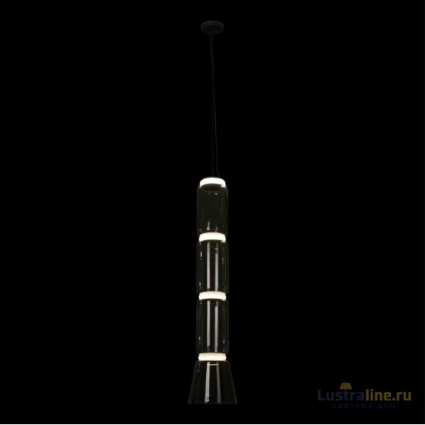 Подвесной светильник Loft IT Noctambule 10193/L Подвесной светильник Loft IT Noctambule 10193/L