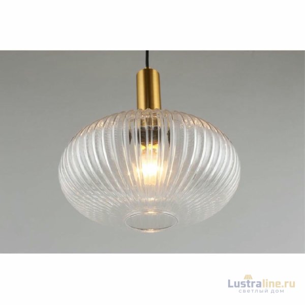 Подвесной светильник Aployt Kornelcia APL.311.06.01