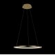 Подвесной светодиодный светильник Loft IT Ring 10014M