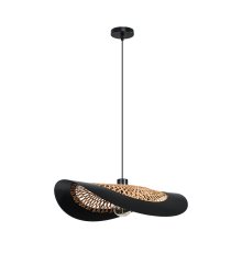Подвесной светильник Arte Lamp Woodstock A7059SP-1BK
