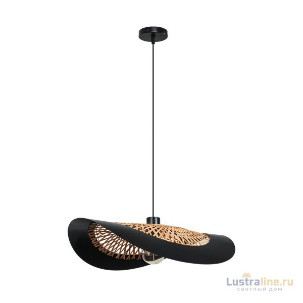 Подвесной светильник Arte Lamp Woodstock A7059SP-1BK