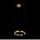 Подвесной светодиодный светильник Loft IT Ring 10013S