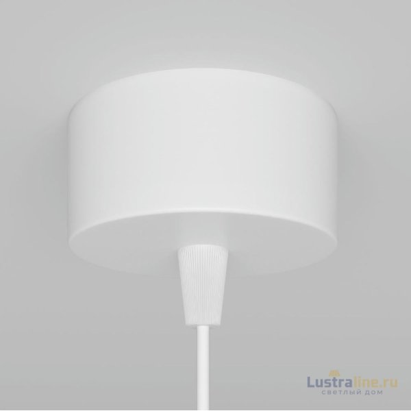Подвесной светильник Maytoni Technical Focus P075PL-01W