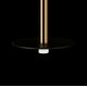 Подвесной светильник Loft IT Reed 10358/830 Disk AB
