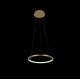 Подвесной светодиодный светильник Loft IT Ring 10014S