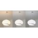 Подвесной светильник Delight Collection 8610P/B LED white