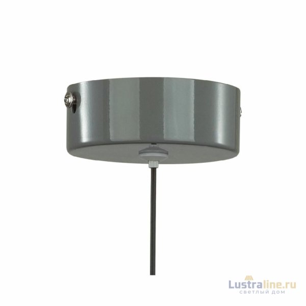 Подвесной светильник Lumion Globe 6569/6L