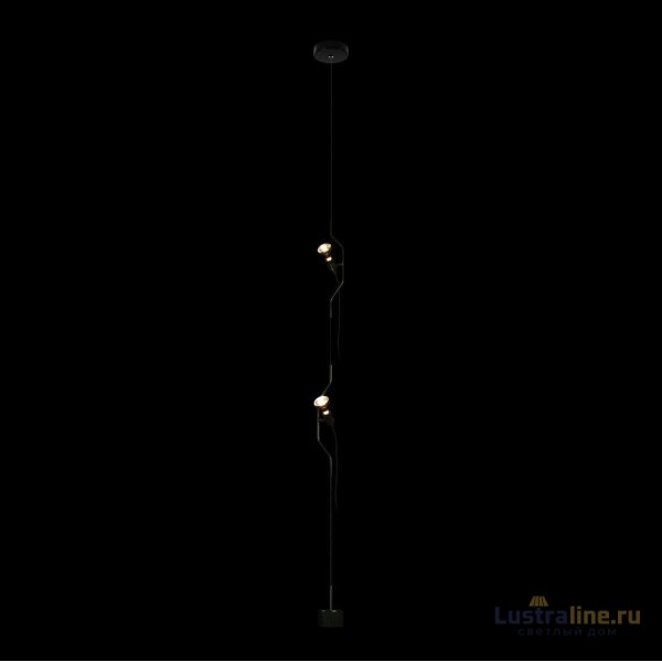 Подвесной светильник Loft IT Parentesi 10346/2 Black