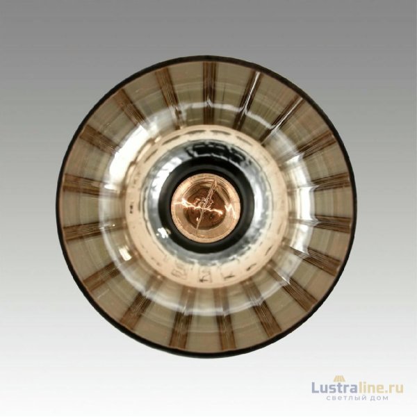 Подвесной светильник Lumion Lorenzo 8065/1A