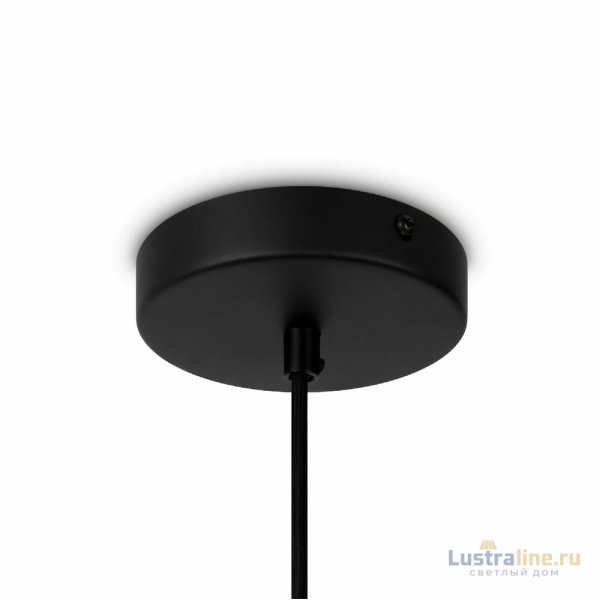 Подвесной светильник Maytoni Roots MOD195PL-01W1 Подвесной светильник Maytoni Roots MOD195PL-01W1