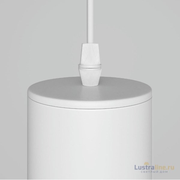 Подвесной светильник Maytoni Technical Focus P075PL-01W