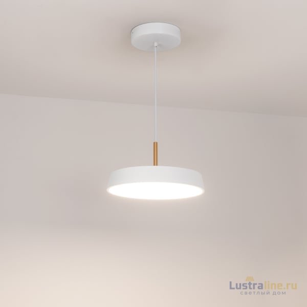 Подвесной светильник Arlight SP-Elegant-R300-17W Day4000 033919