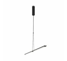 Подвесной светильник Maytoni Supersymmetry P096PL-L11BK