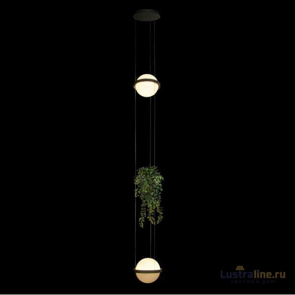 Подвесной светильник Loft IT Jardin 10121/2P Dark grey Подвесной светильник Loft IT Jardin 10121/2P Dark grey