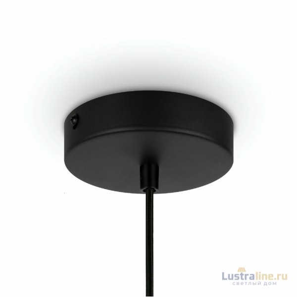 Подвесной светильник Maytoni Roots MOD193PL-01W Подвесной светильник Maytoni Roots MOD193PL-01W
