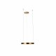 Подвесной светодиодный светильник Loft IT Ring 10013S
