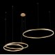 Подвесной светодиодный светильник Loft IT Ring 10017/3L