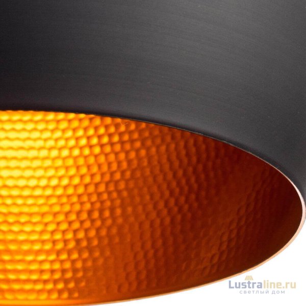Подвесной светильник Arte Lamp Cappello A3407SP-1BK