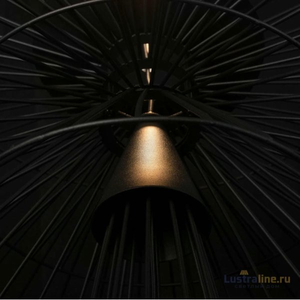 Подвесной светильник Loft IT Star 10141/400 Black