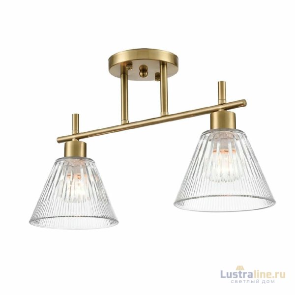 Потолочный светильник Lumion Vivian 8188/2C