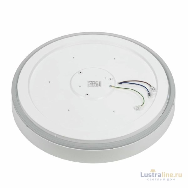 Потолочный светильник Citilux Boss CL751450G