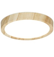 Потолочный светильник Citilux Бейсик CL738122N
