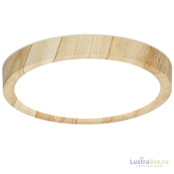 Потолочный светильник Citilux Бейсик CL738122N