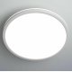 Потолочный светильник Citilux Basic Line CL738320VL
