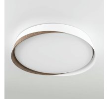 Потолочный светильник Citilux Bonny CL754350G