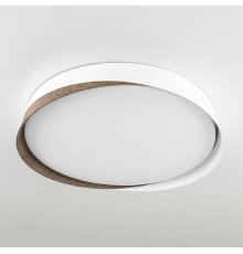 Потолочный светильник Citilux Bonny CL754350G