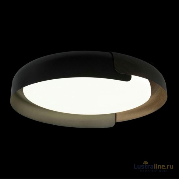 Потолочный светильник Loft IT Coin 10198 Black Потолочный светильник Loft IT Coin 10198 Black