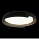 Потолочный светильник Loft IT Coin 10198 Black