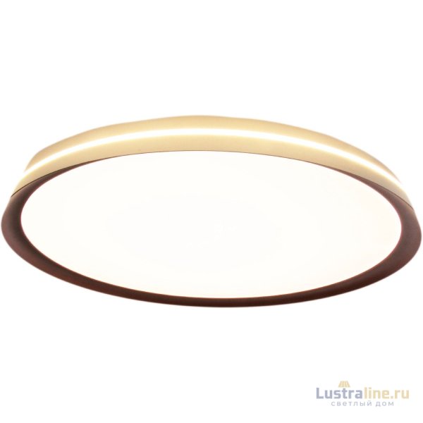 Потолочный светильник Mizi en Titan MZ31502-430 Потолочный светильник Mizi en Titan MZ31502-430