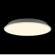 Потолочный светильник Loft IT Brim 10226 White
