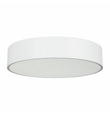 Потолочный светильник Arlight SP-TOR-PILL-PRISM-R500-35W Day4000 (WH, 100 deg, 230V) 022107(3)